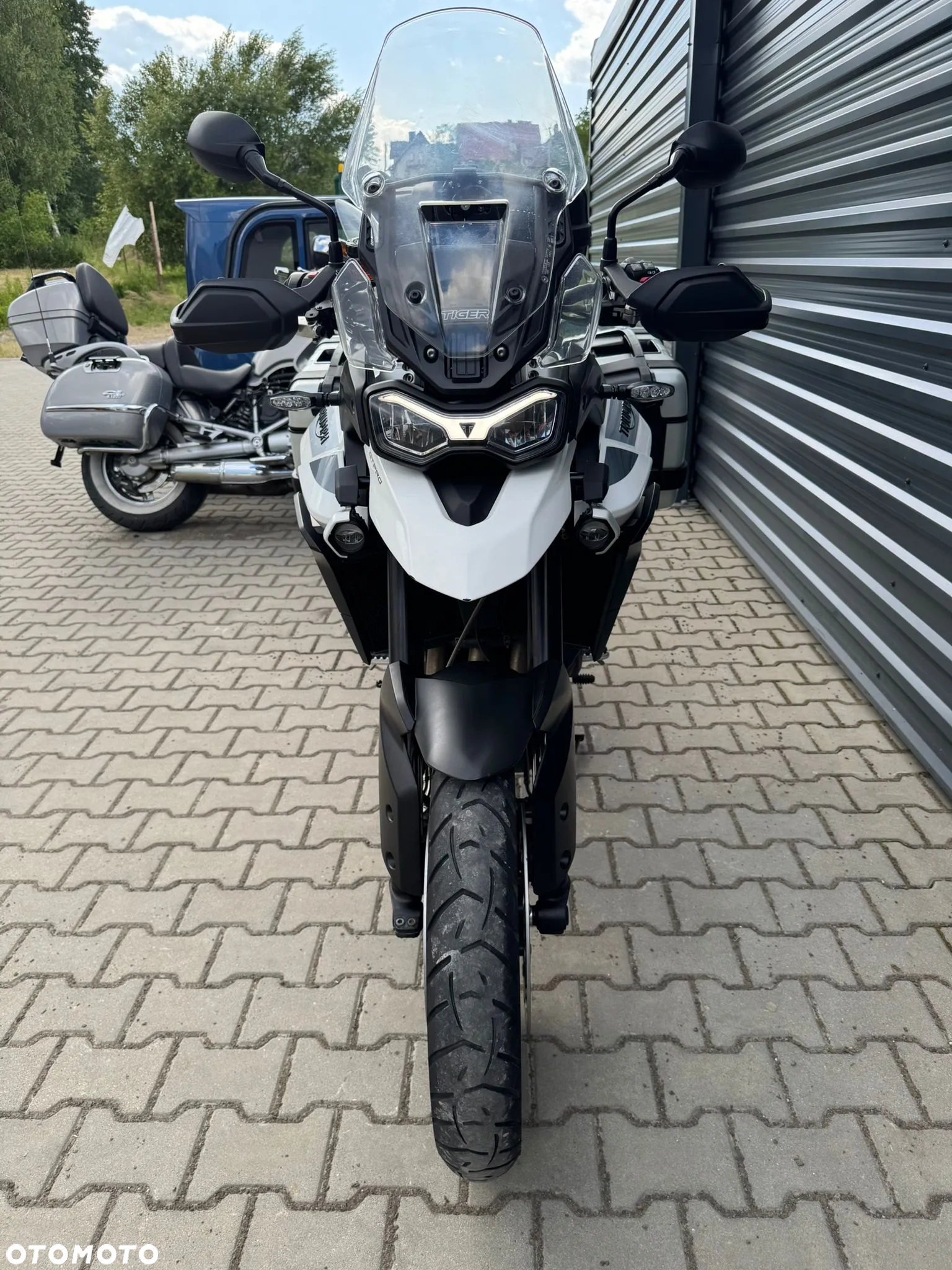 Triumph Tiger - 6