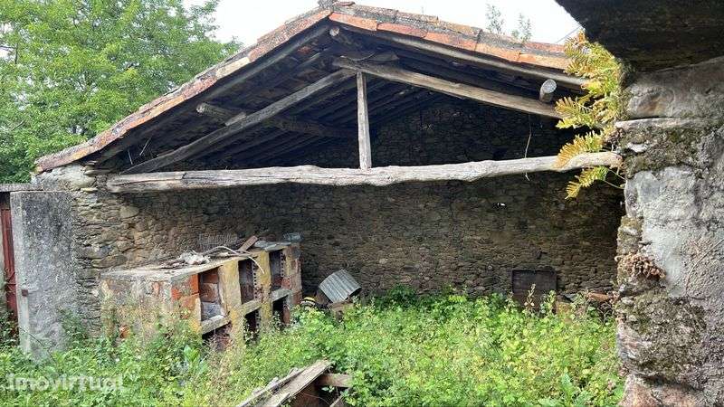 Venda Casa De Aldeia - Grande imagem: 4/12