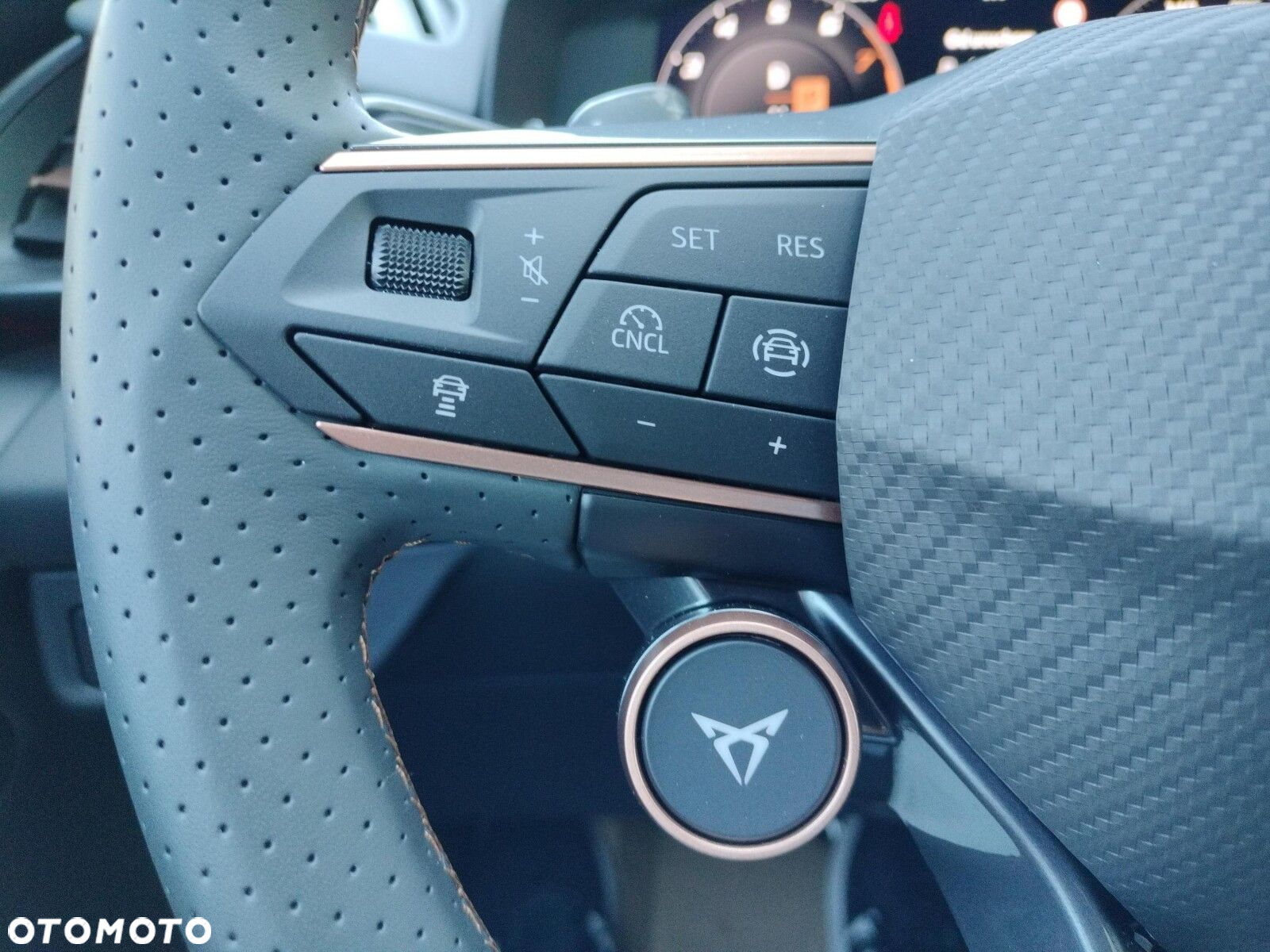Cupra Terramar 1.5 eHybrid PHEV DSG - 30