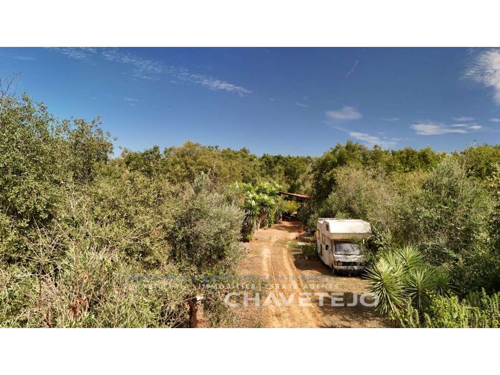 Terreno Rústico Privado com Construção Rural e Autocaravana - Grande imagem: 2/32