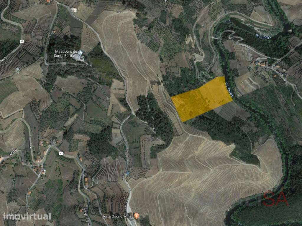 Quinta com 7ha e com projeto de remodelação, situada no Douro Vinha... - Grande imagem: 2/23