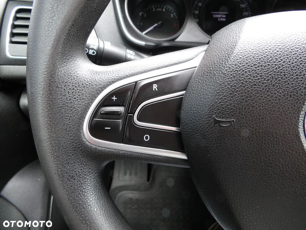 Renault Megane - 18