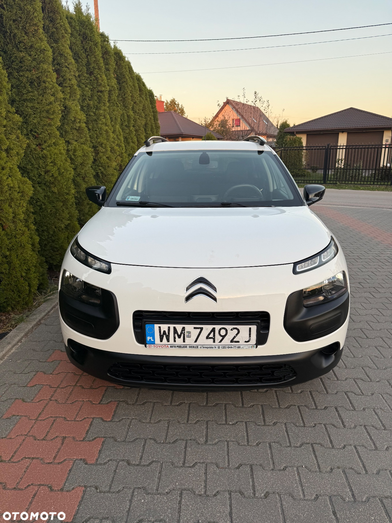 Citroën C4 Cactus 1.2 PureTech MoreLife - 11