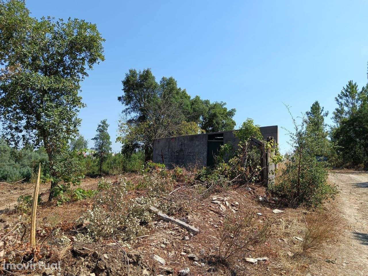 Quintinha - Grande imagem: 2/14