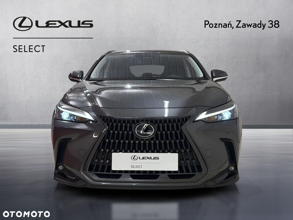 Lexus NX - 6