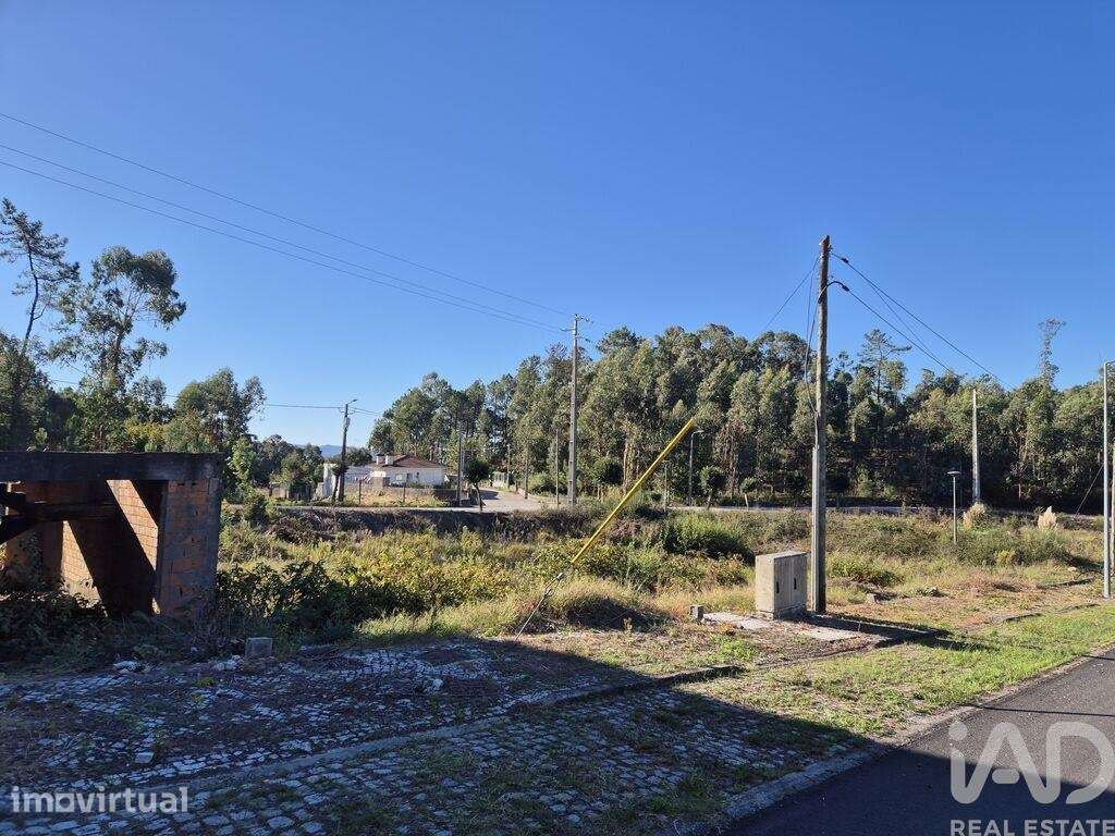 Terreno em Fajões - Grande imagem: 4/25