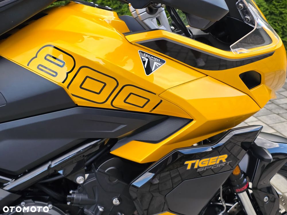 Triumph Tiger - 24