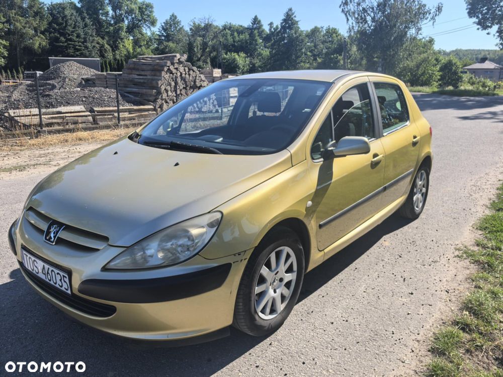 Peugeot 307 - 5