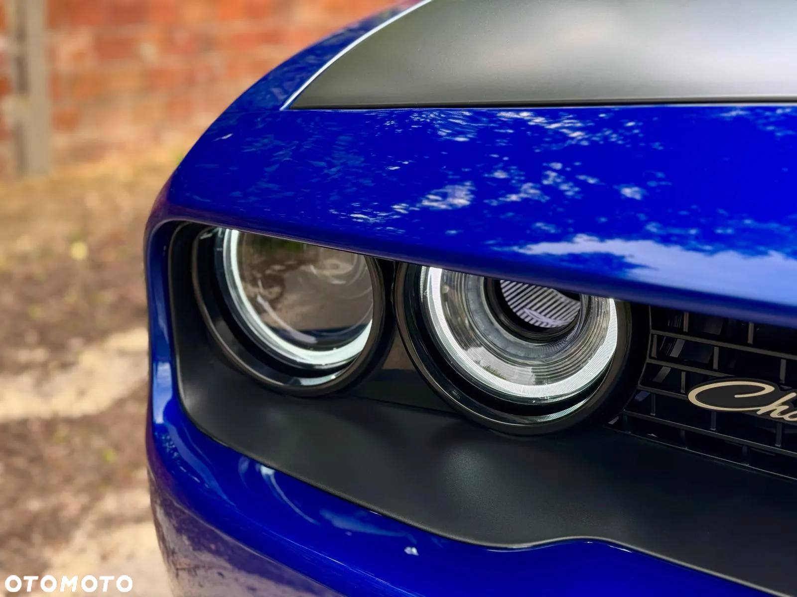 Dodge Challenger Automatik R/T Plus - 19