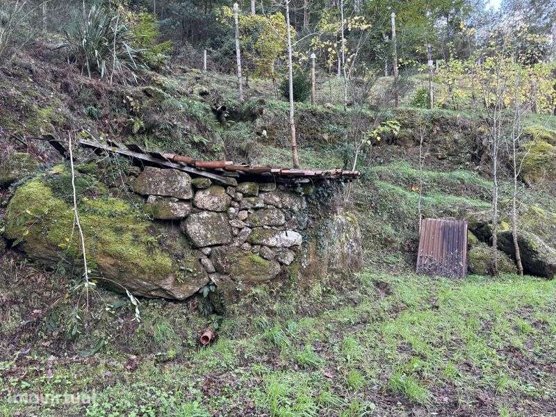 Terreno com Ruina em Louredo, Vieira do Minho - Grande imagem: 5/12