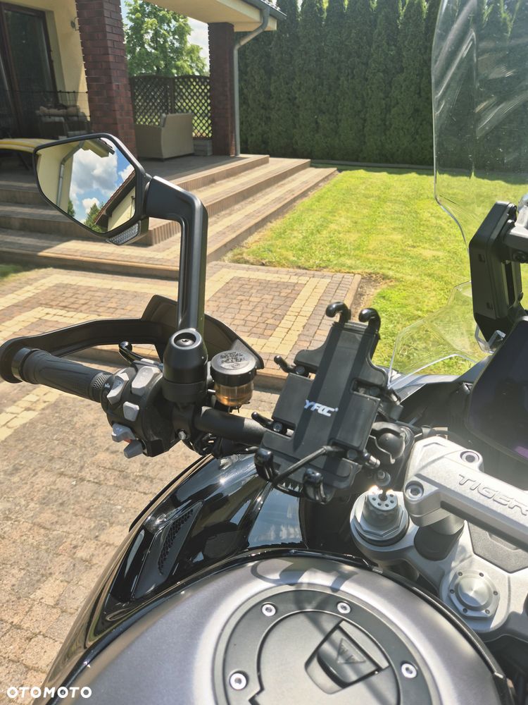 Triumph Tiger - 31