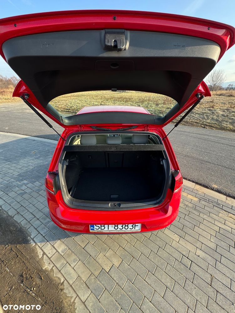 Volkswagen Golf - 16