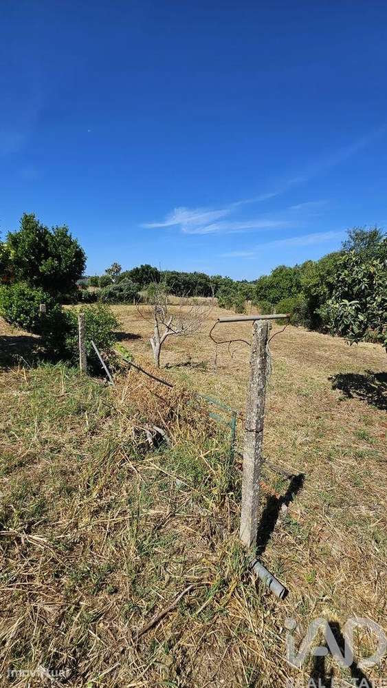 Terreno em Almancil de 1265,00 m2 - Grande imagem: 5/7
