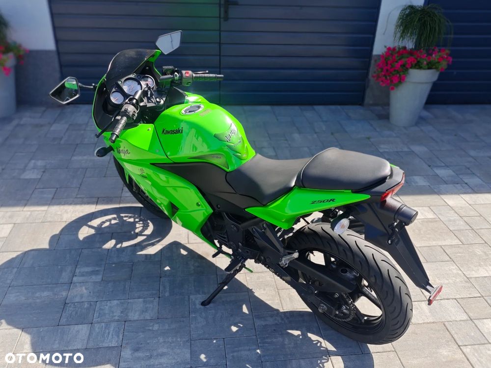 Kawasaki Ninja 250R - 10