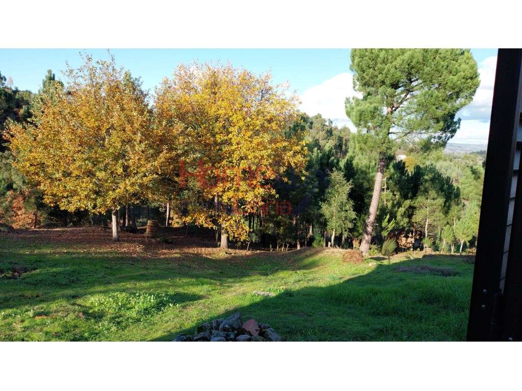 Quinta para venda em Tábua, Coimbra - Grande imagem: 3/45