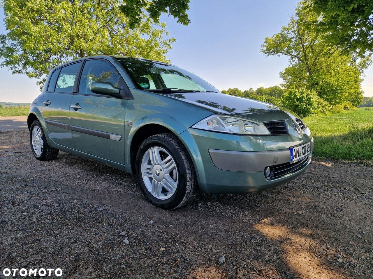 Renault Megane 1.6 Luxe Privilege - 30