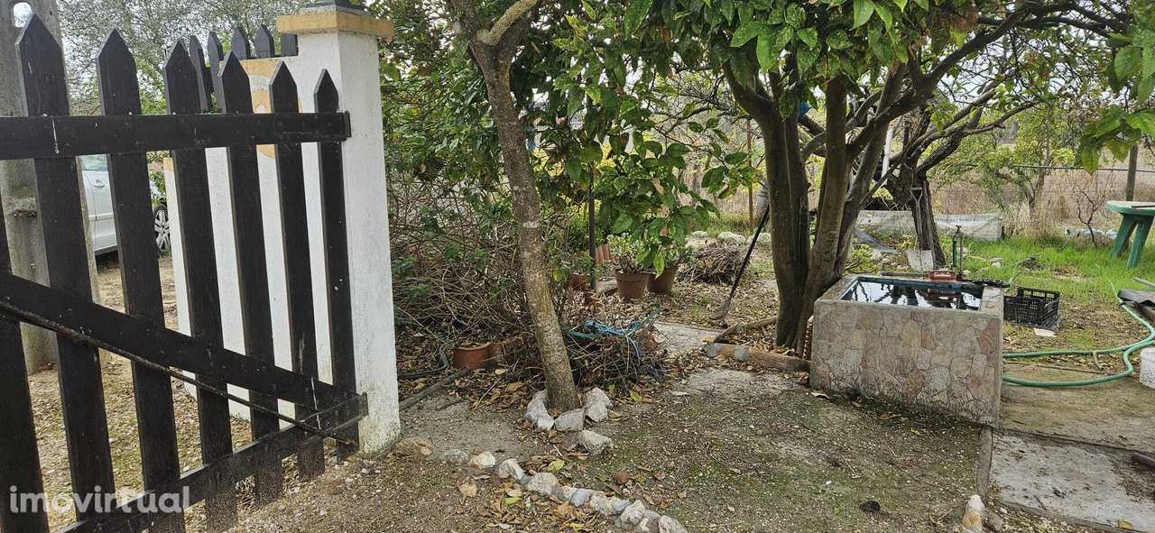 Moradia Térrea / Quintinha em Foros de Salvaterra - Grande imagem: 3/55