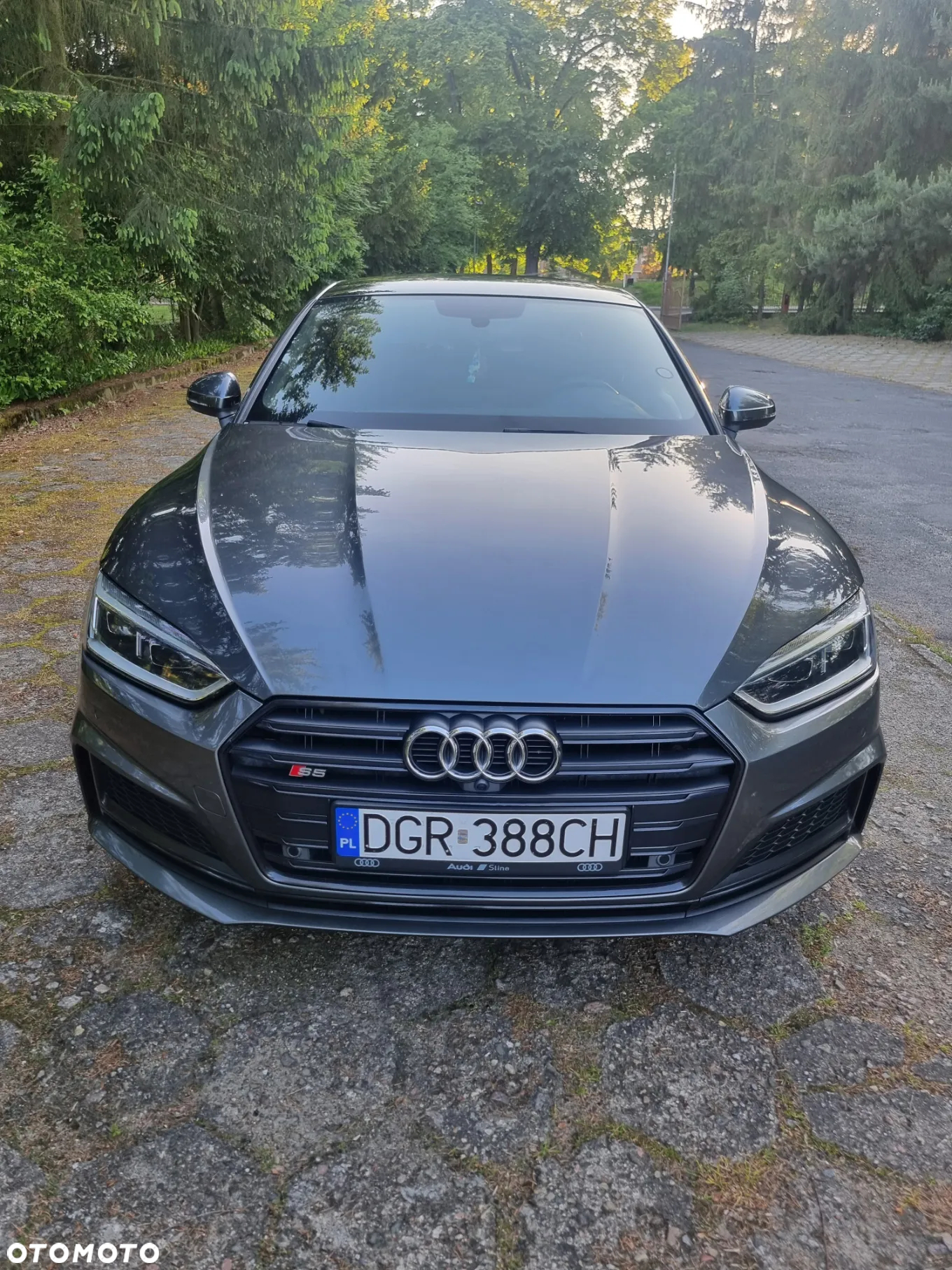 Audi S5 3.0 TFSI Quattro Tiptronic - 3