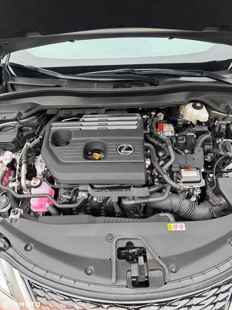 Lexus UX 250h F Sport 2WD - 8