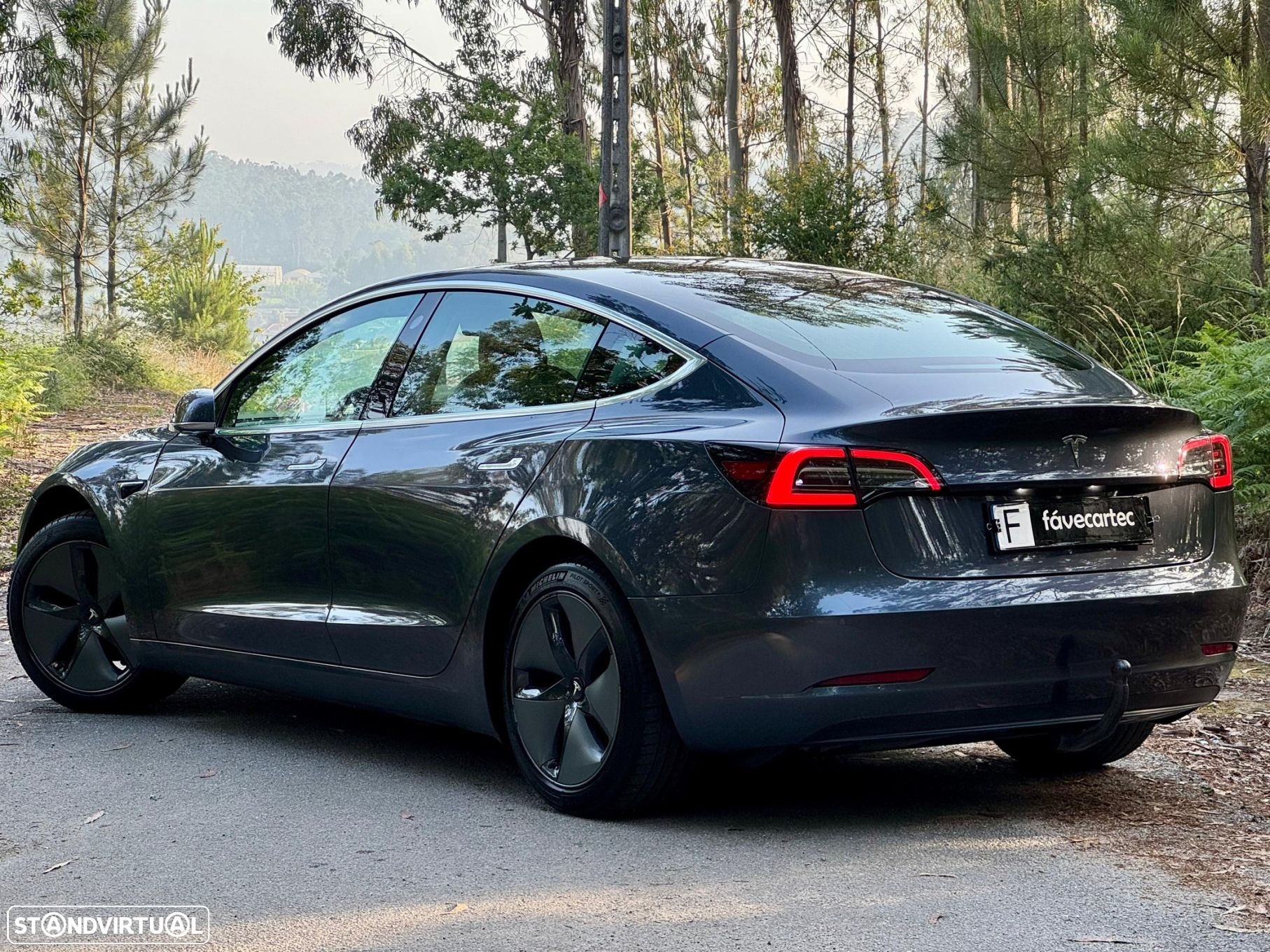Tesla Model 3 Standard Range Plus RWD - 25
