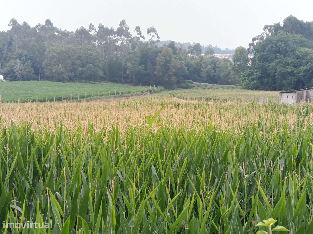 Terreno Junqueira, Vila do Conde - Grande imagem: 4/6