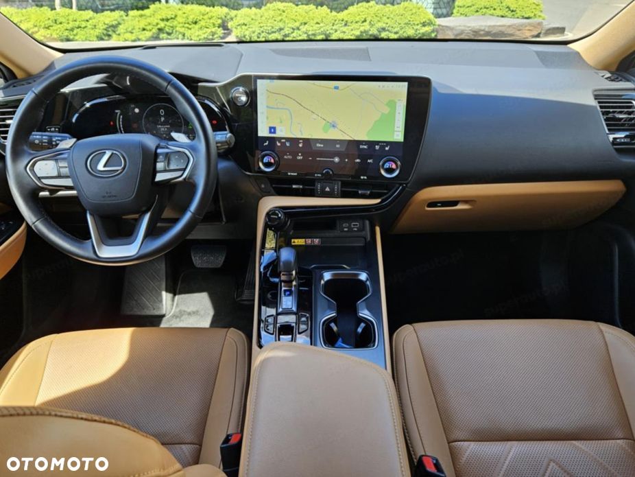 Lexus NX - 10