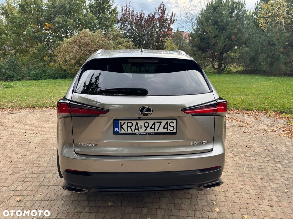 Lexus Nx 2019 photo 3