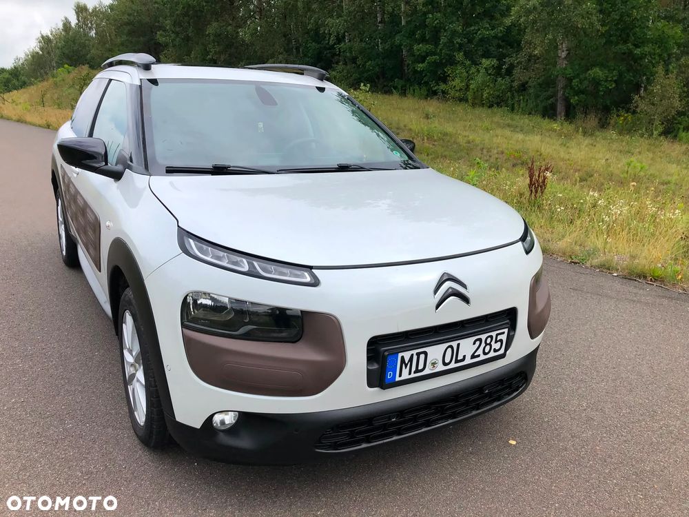 Citroën C4 Cactus 1.6 Blue HDi Shine - 17