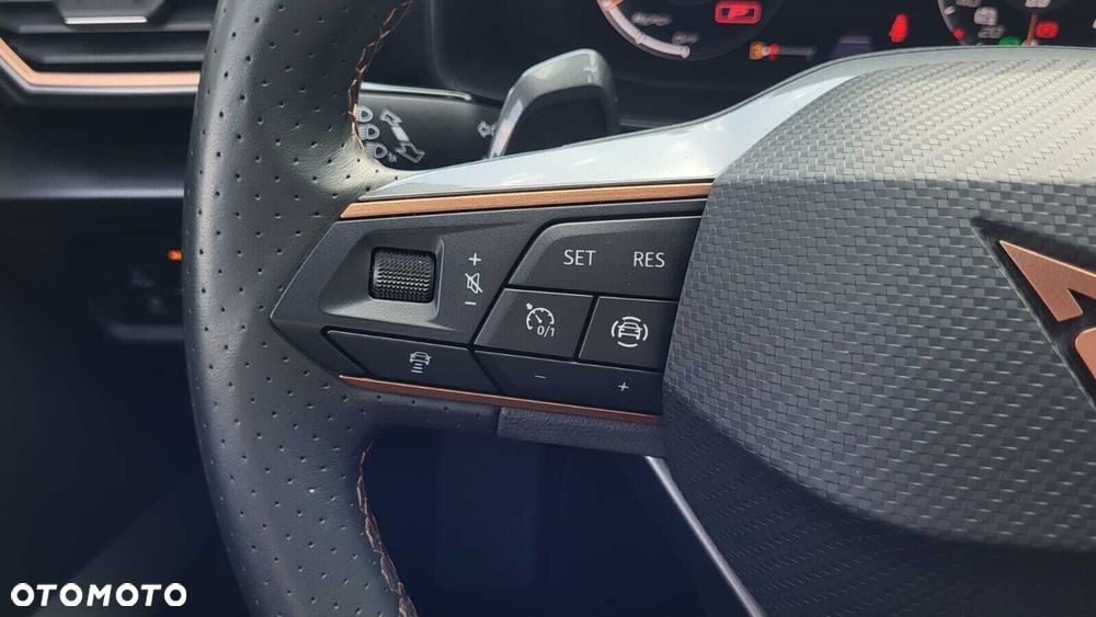 Cupra Formentor - 19