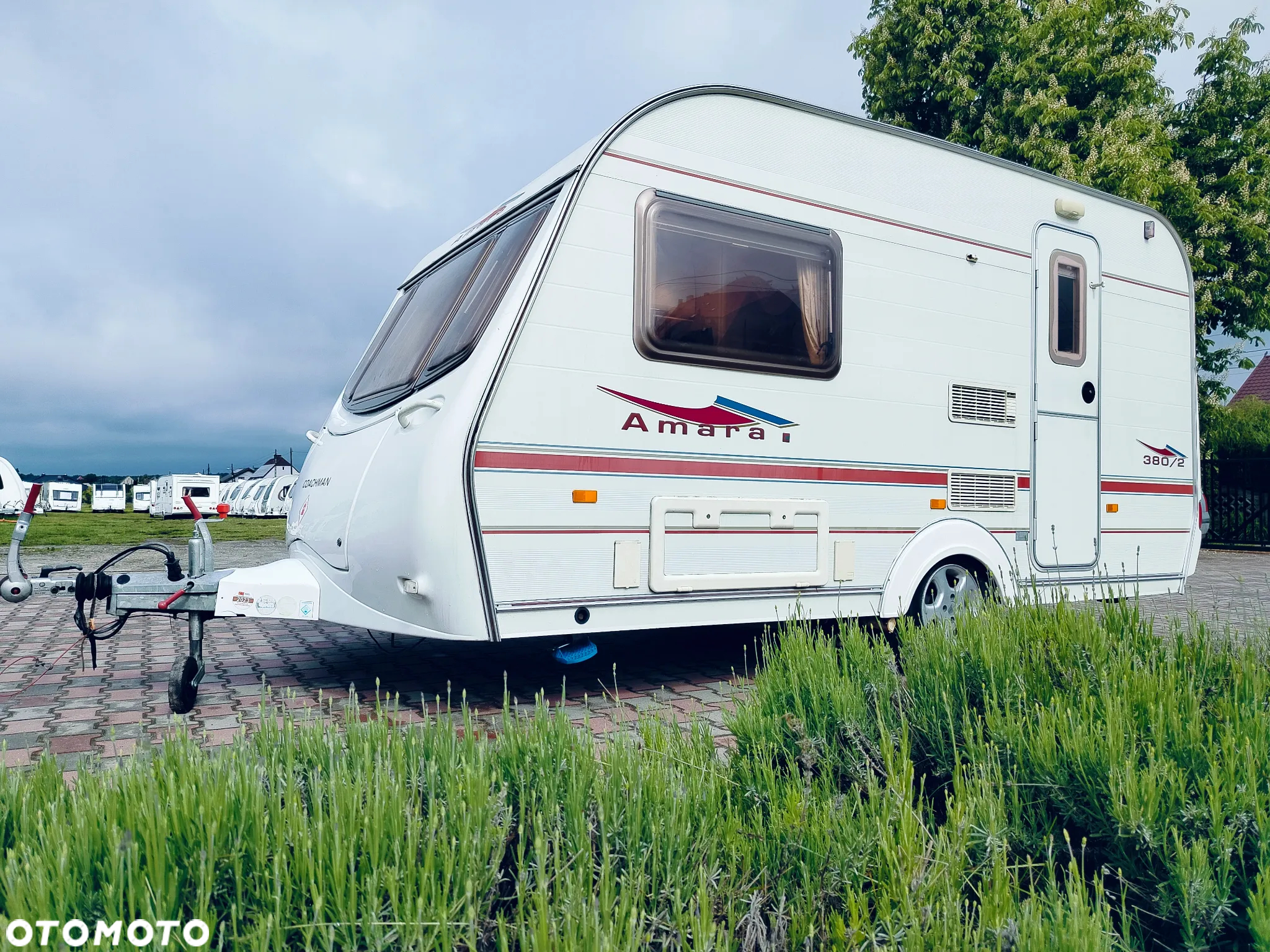 Coachman Amara - 34