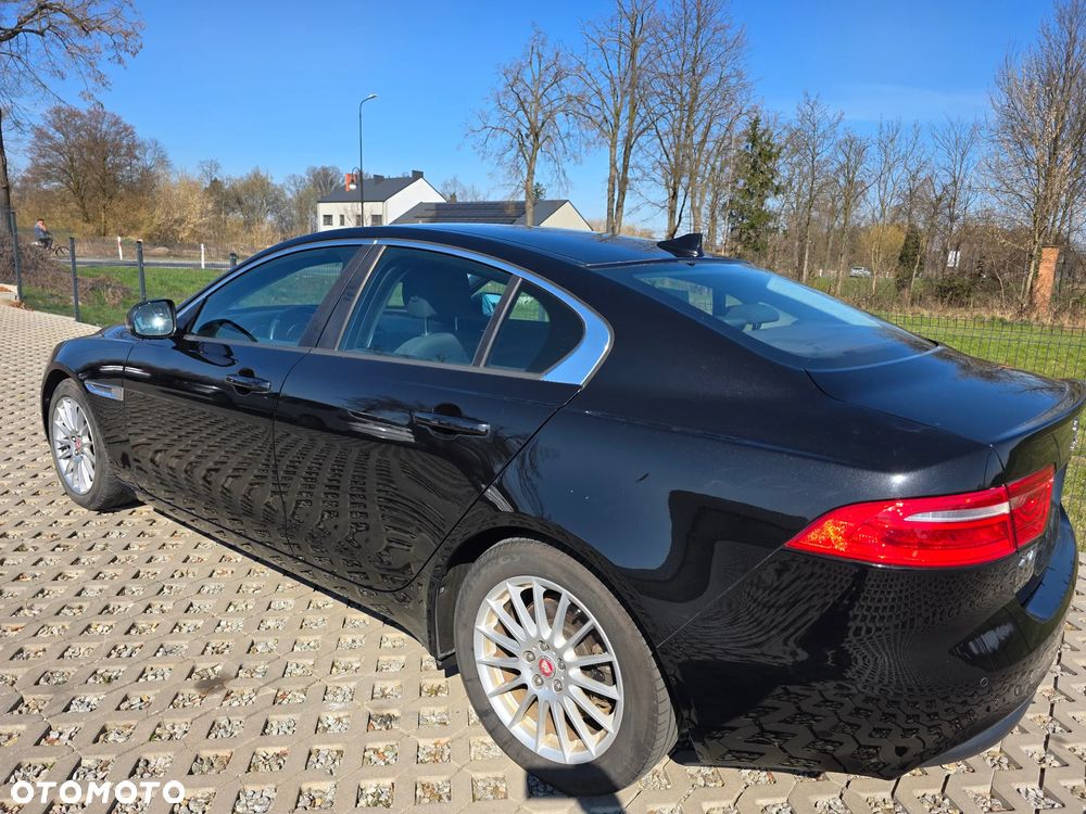 Jaguar XE E-Performance Pure - 5