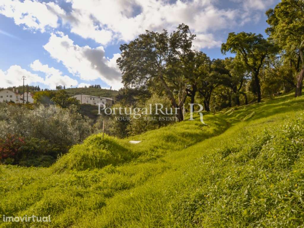 Terreno apto para construção de Moradia - Grande imagem: 5/7