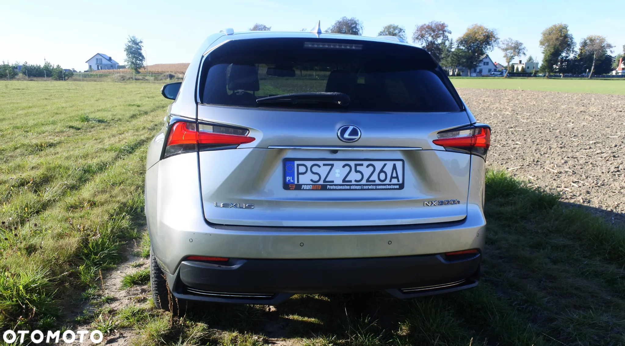 Lexus NX - 6