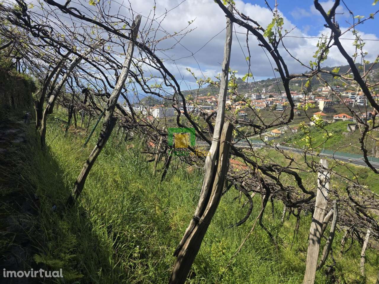 Terreno para Cultivo - Grande imagem: 5/7