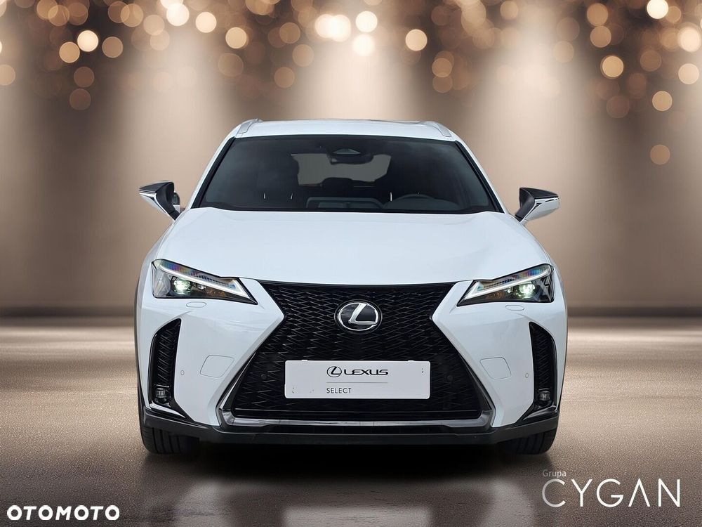Lexus UX 300h F Sport Design - 10