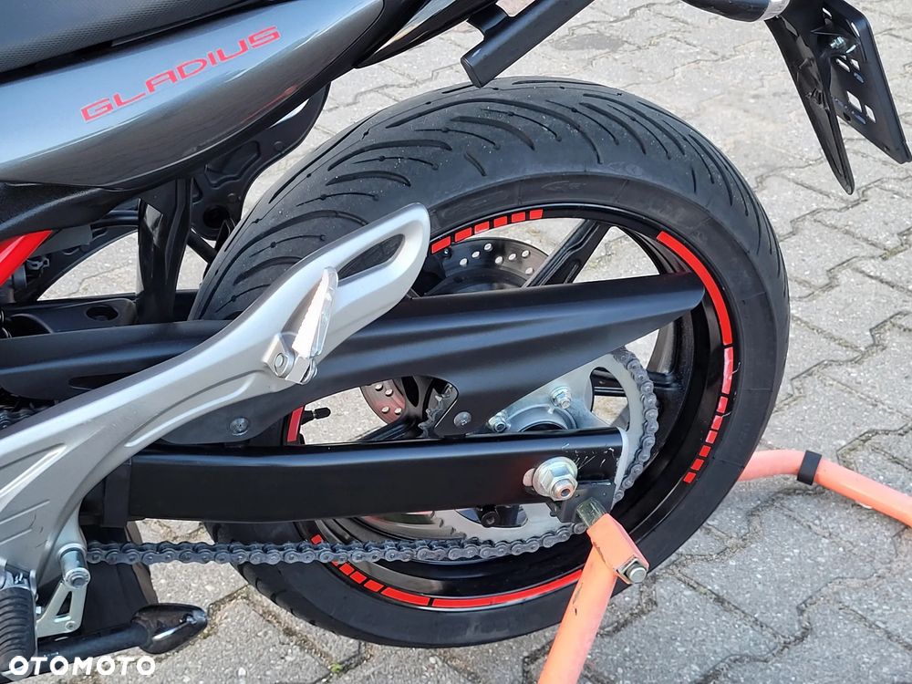 Suzuki Gladius - 22