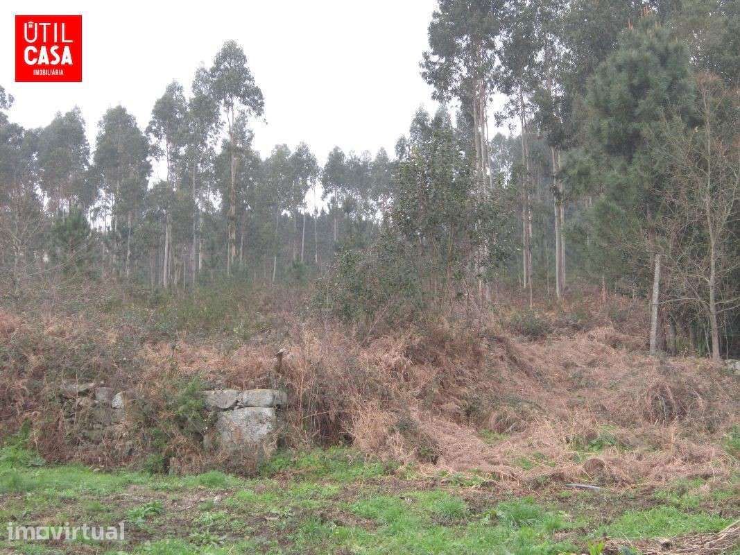 Terreno em Fragoso - Zona Industrial - Grande imagem: 4/5