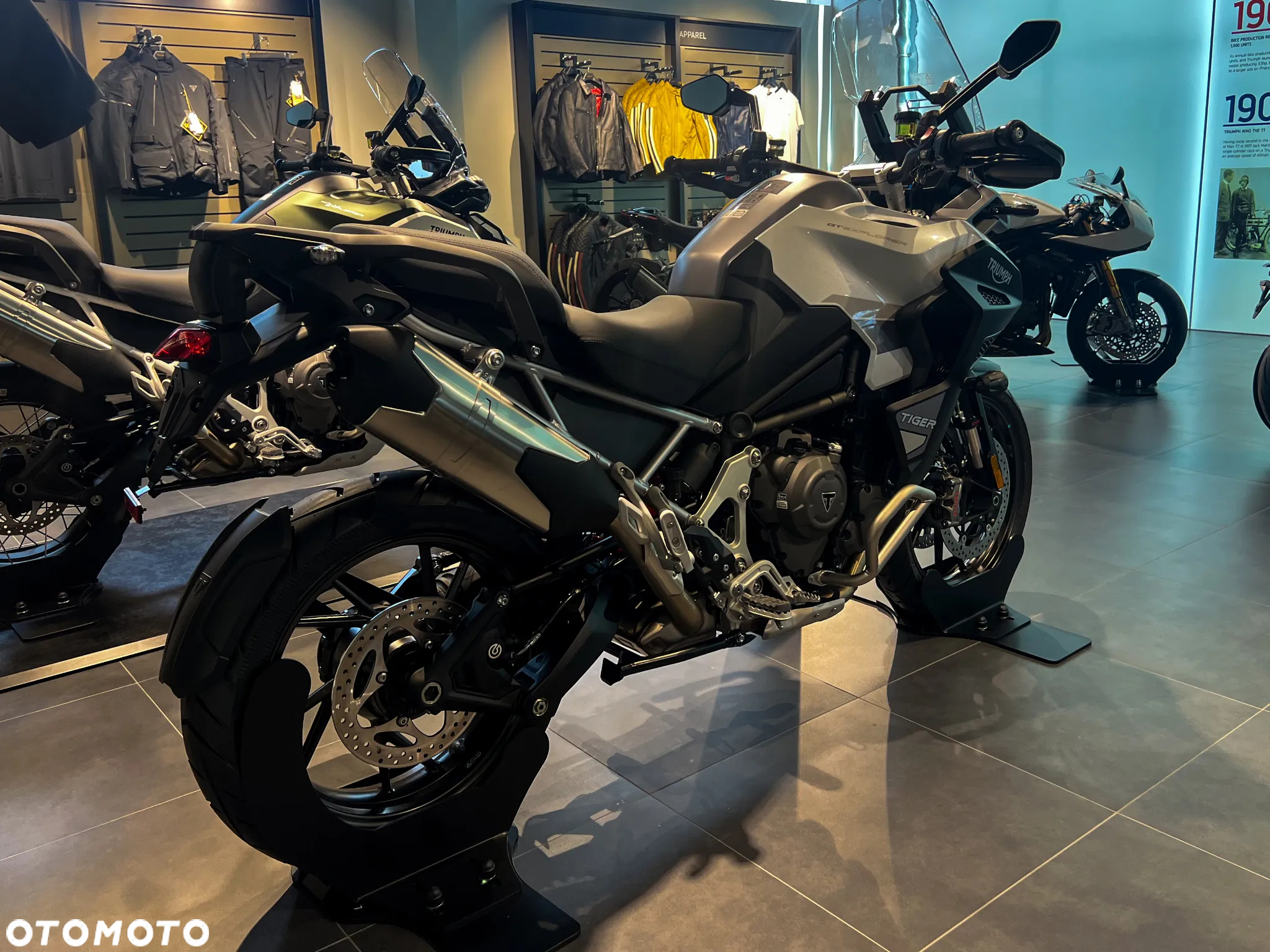 Triumph Tiger - 5