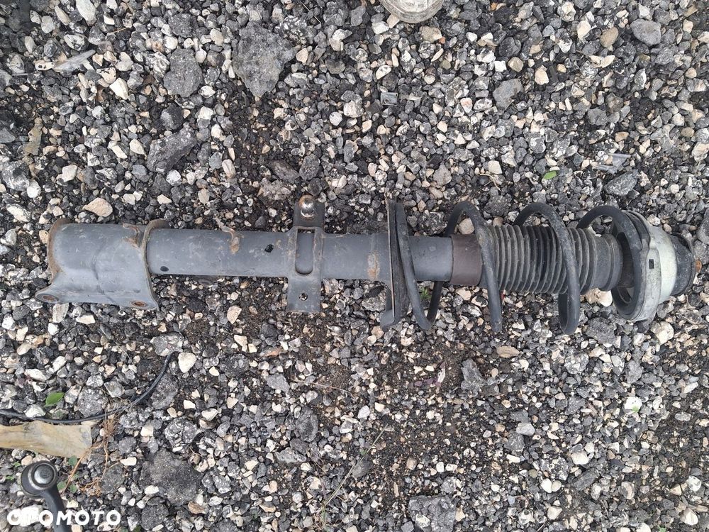 Amortyzator tył tylny Alfa Romeo 147 50509464 - 3