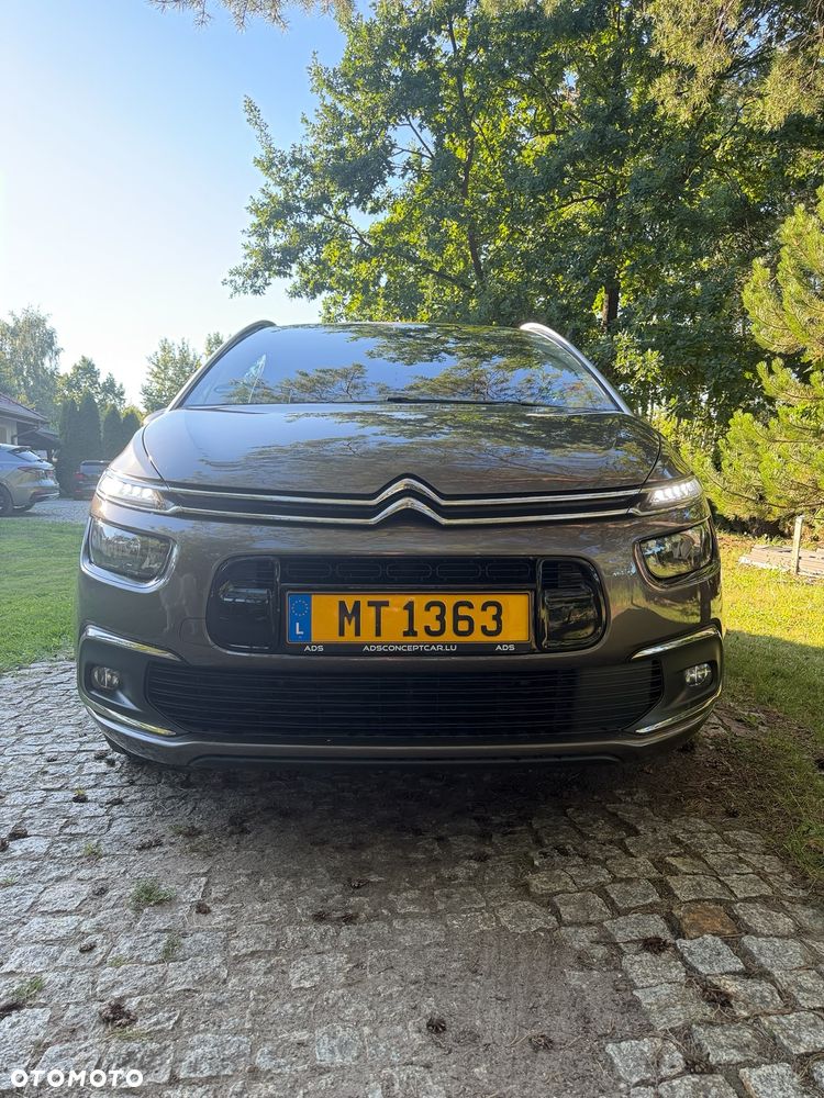 Citroën C4 Grand Picasso BlueHDi 120 Business Class - 2