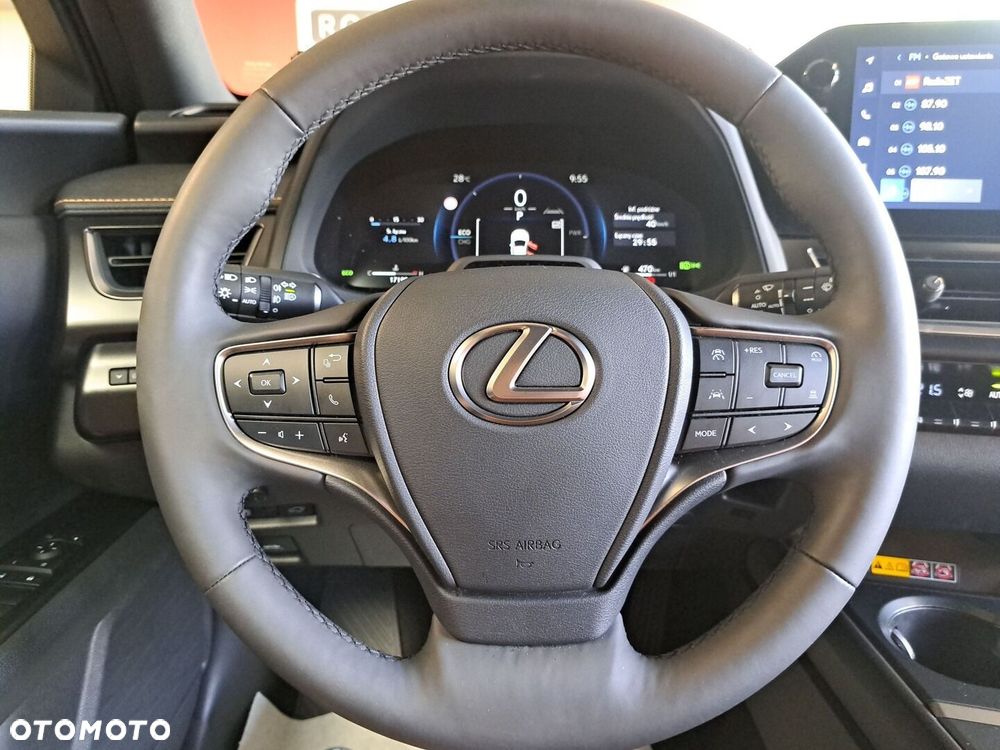 Lexus UX 300h F Sport Design - 17