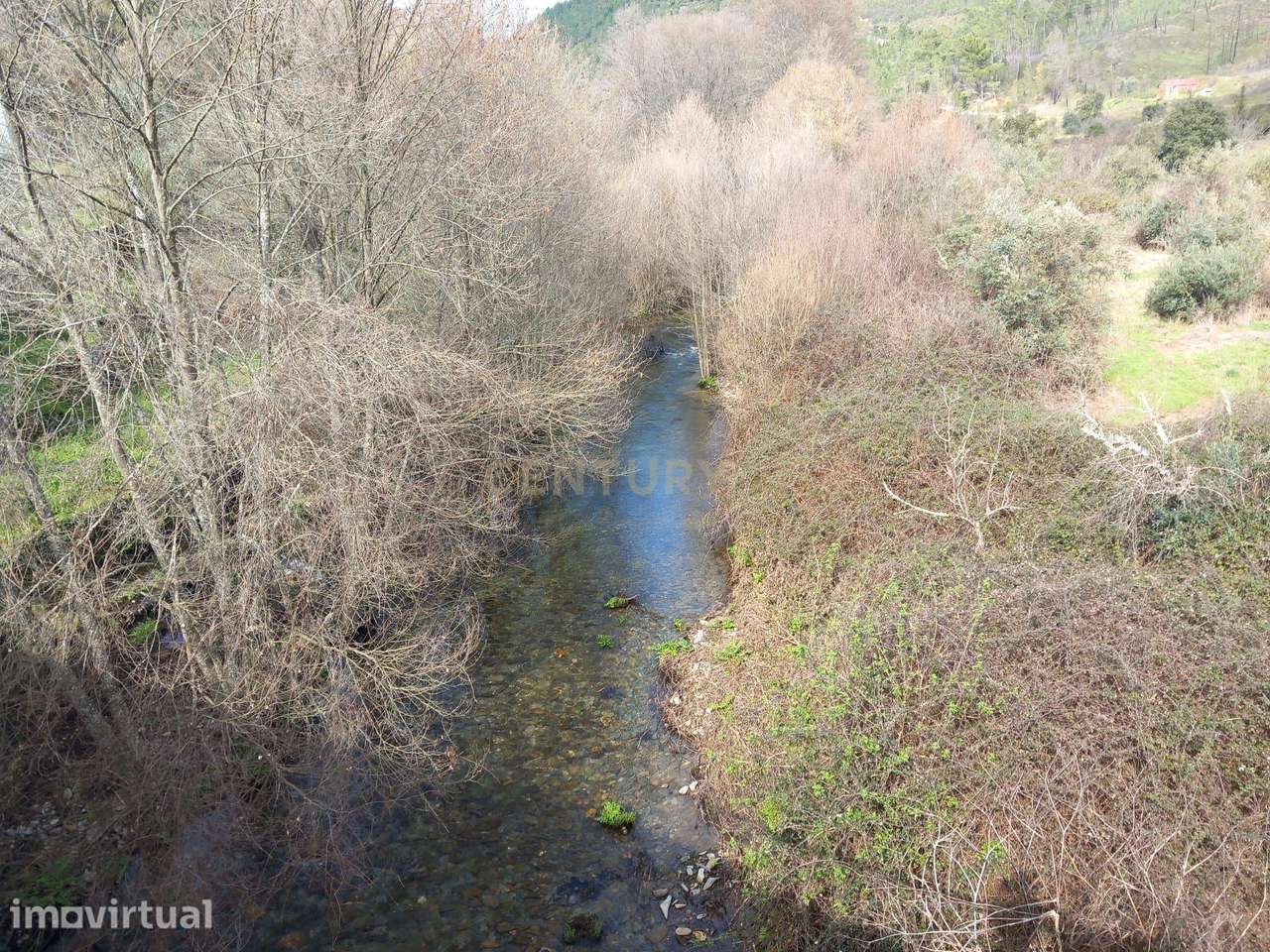 Terreno Rustico com 1450m2 Cerejeira-Alvito da Beira - Grande imagem: 2/9