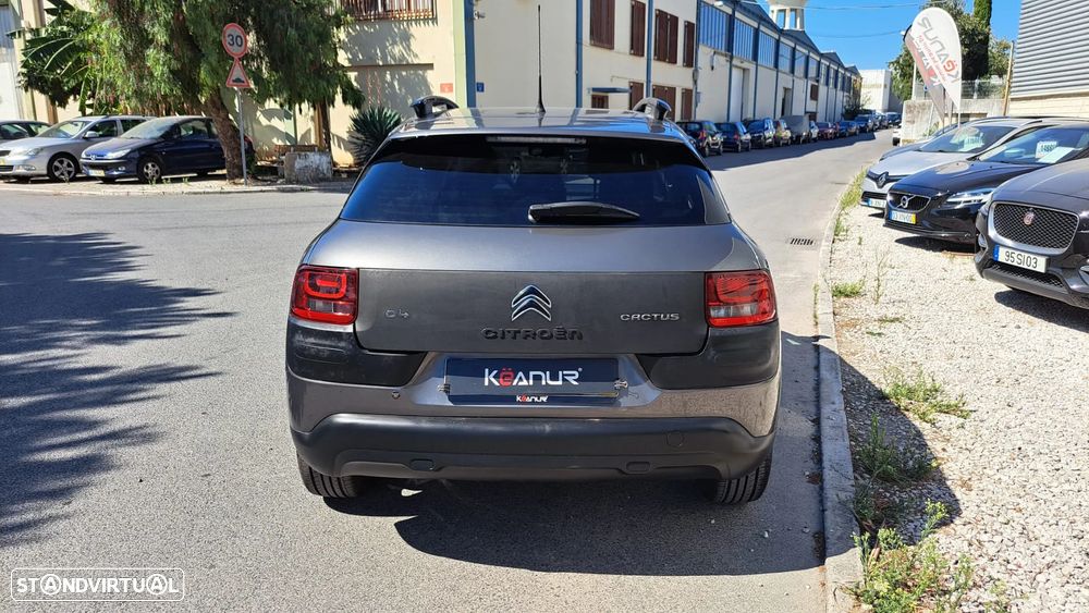 Citroën C4 Cactus 1.6 BlueHDi Shine - 4