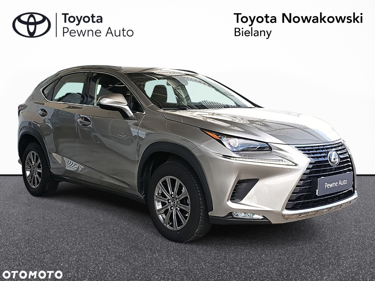 Lexus NX 300 Elegance Optimum AWD - 31