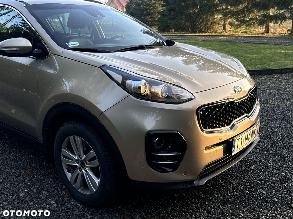 Kia Sportage 1.6 GDI L Business Line Plus 2WD - 20