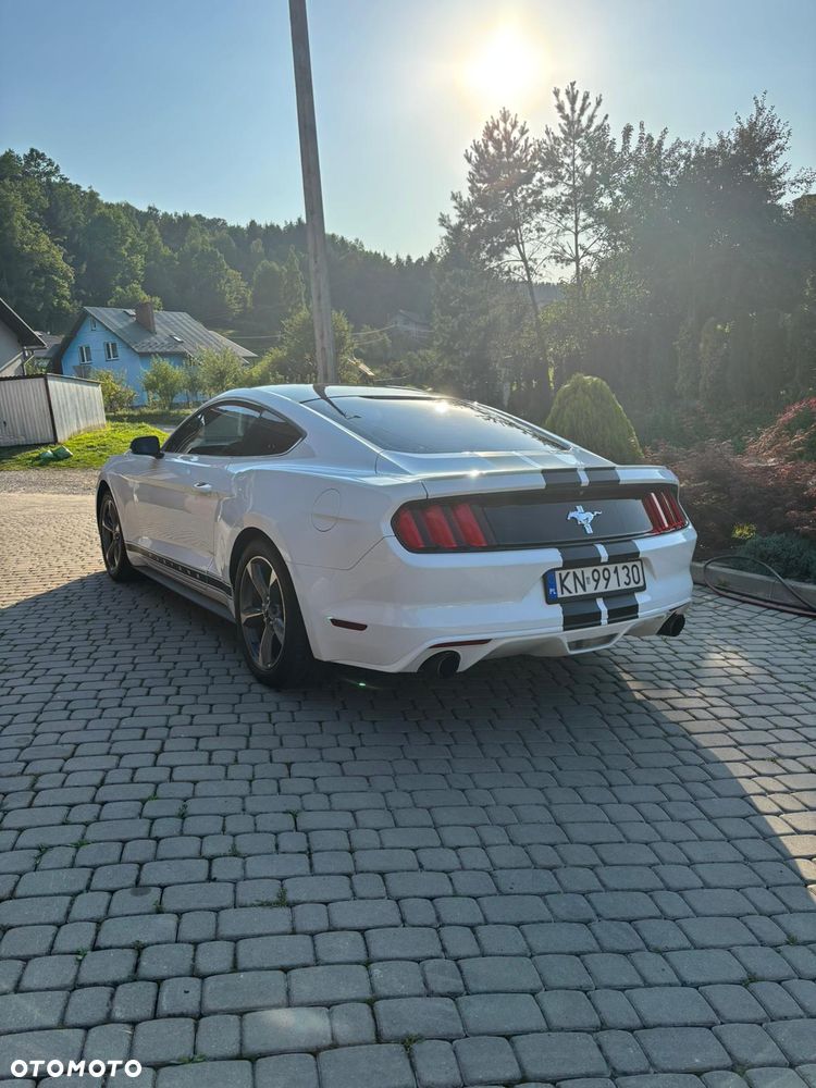 Ford Mustang 3.7 V6 - 5