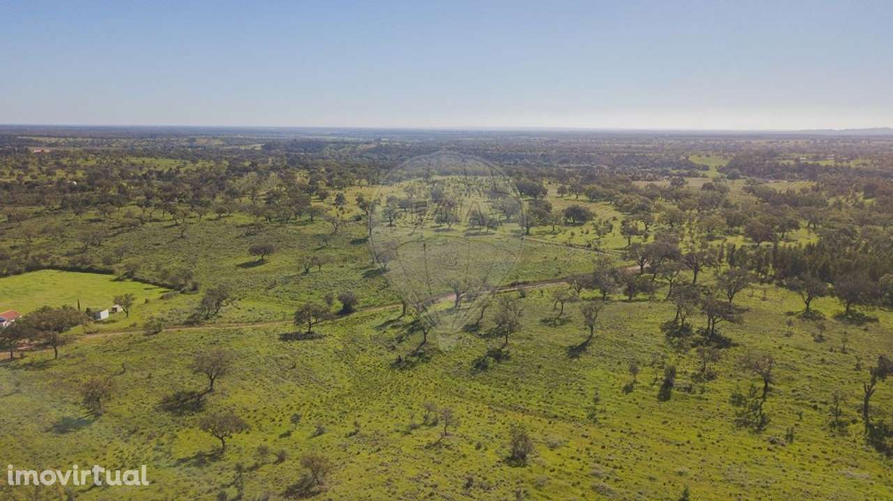 Terreno  para venda - Grande imagem: 2/36