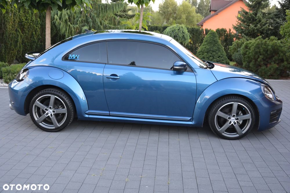 Volkswagen Beetle - 6
