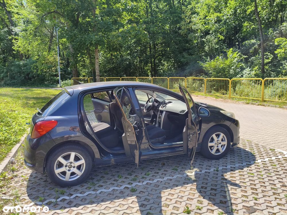 Peugeot 207 - 17