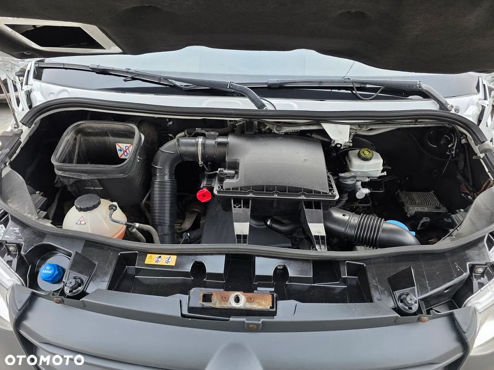 Mercedes-Benz Sprinter chłodnia mroźnia 316  Thermo king + zasilanie elektryczne - 23